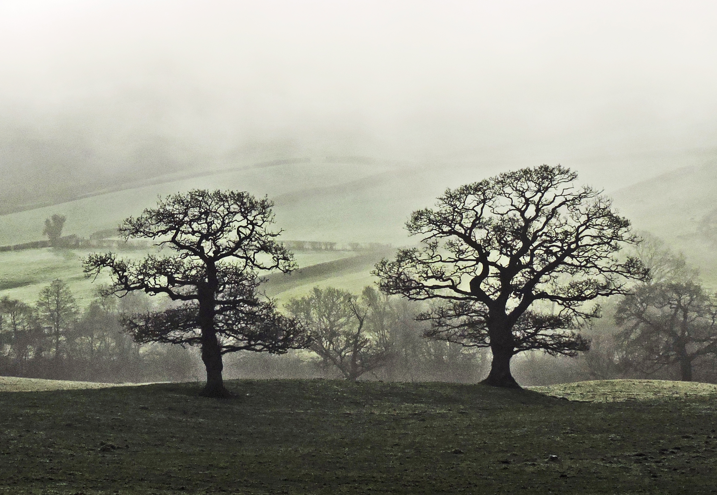 MISTY MORNING Bill Bagley Photography